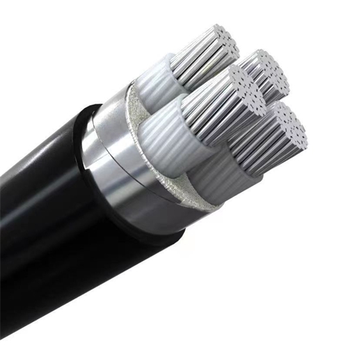 www.tm288.cn